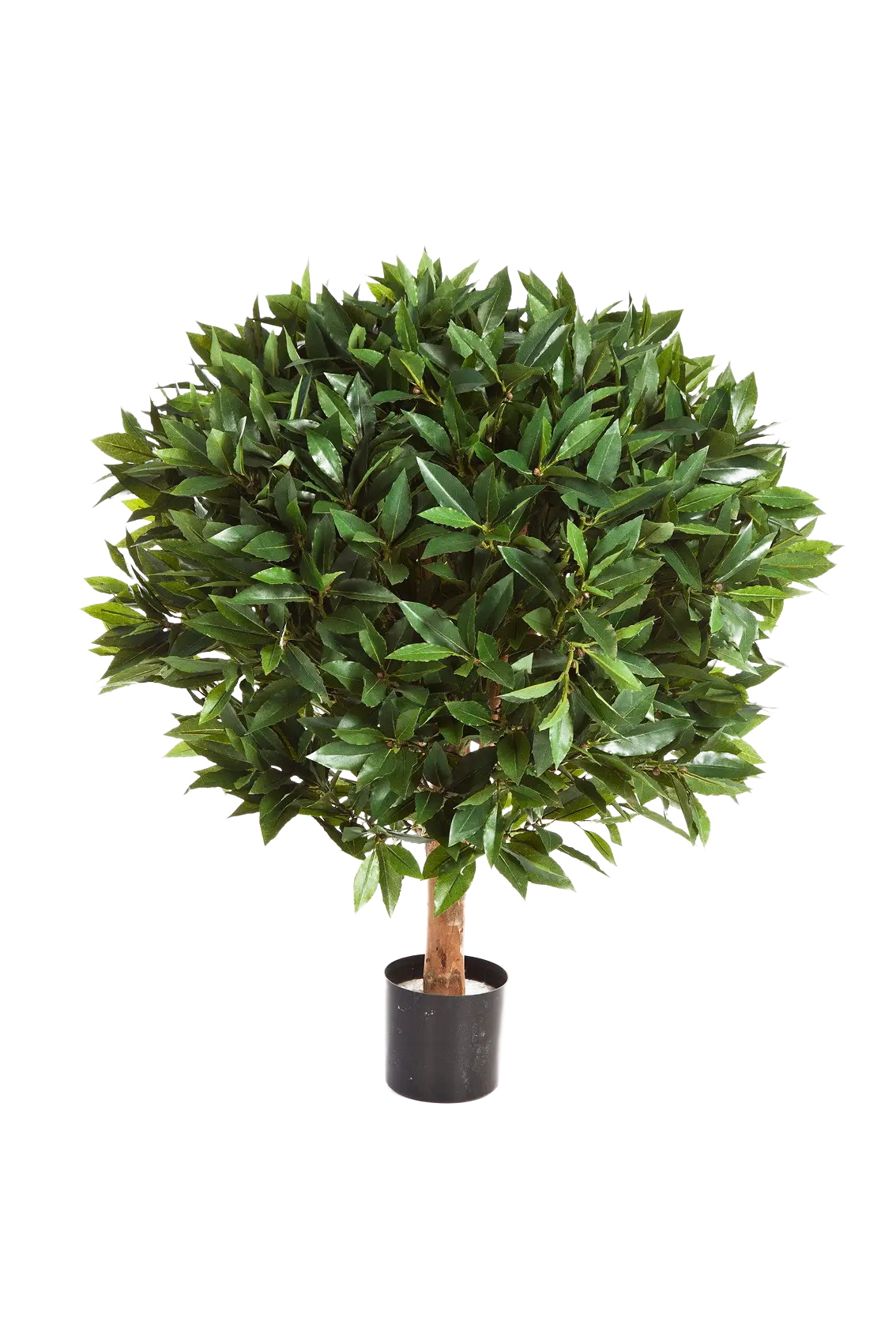 Künstlicher Lorbeer - Rosa | 75 cm