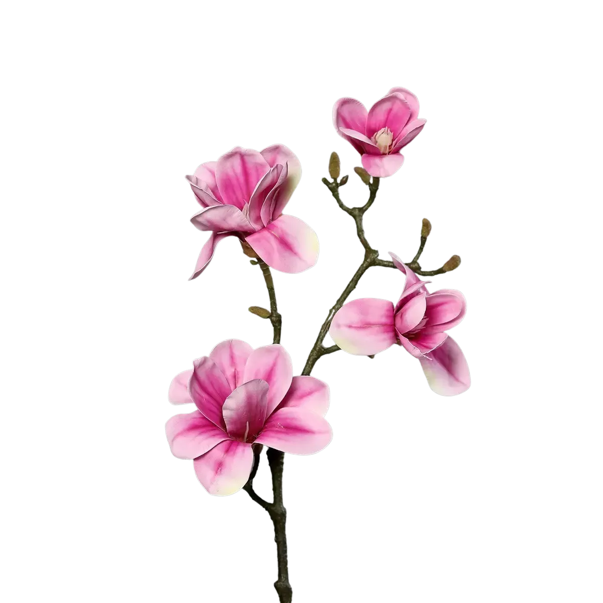 aplanta-43611-03_aplantaKuenstliche_Magnolien_Zweig__Matilda__80_cm Künstliche Magnolien Zweig - Matilda | 80 cm