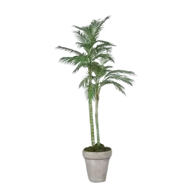Künstliche Chico Palme - Richi | 210 cm