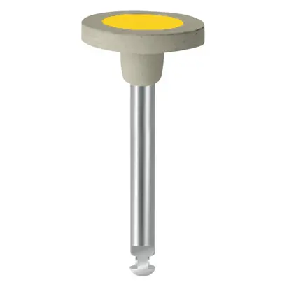 EVE Ernst Vetter GmbH EVE DIAPOL Polierer RA W8D fein St