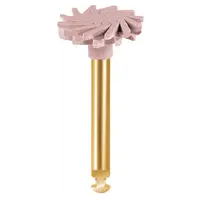 EVE Ernst Vetter GmbH EVE DIACOMP PLUS TWIST Polierer DT-DCP10m mittel St