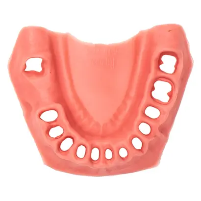 Frasaco GmbH Zahnfleischauflage f.Parod.Model UK A-PB WUK St