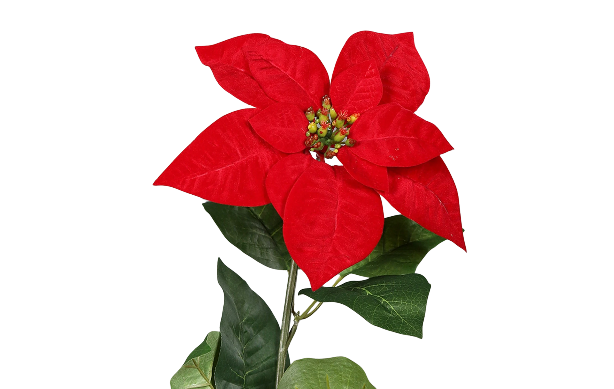 Künstliche Poinsettia - Pinie | 55 cm