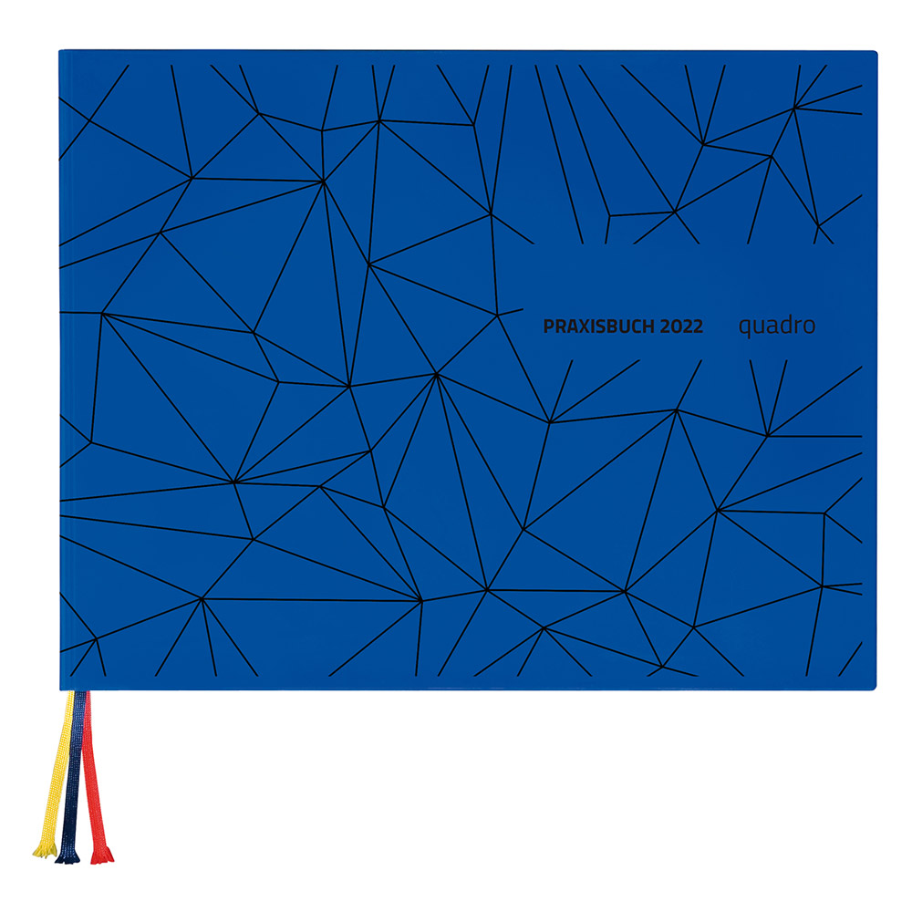Praxisbuch Speiko Quadro 2024 St