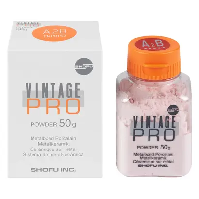 Shofu Inc. Vintage Pro Body A2B Flasche 50g