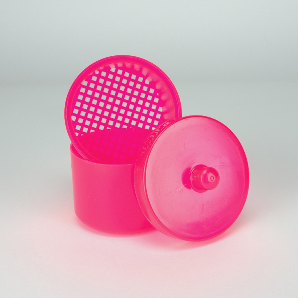 GX208836_Prothesenreinigungs_Box_Fuchsia__St Prothesenreinigungs Box Fuchsia St