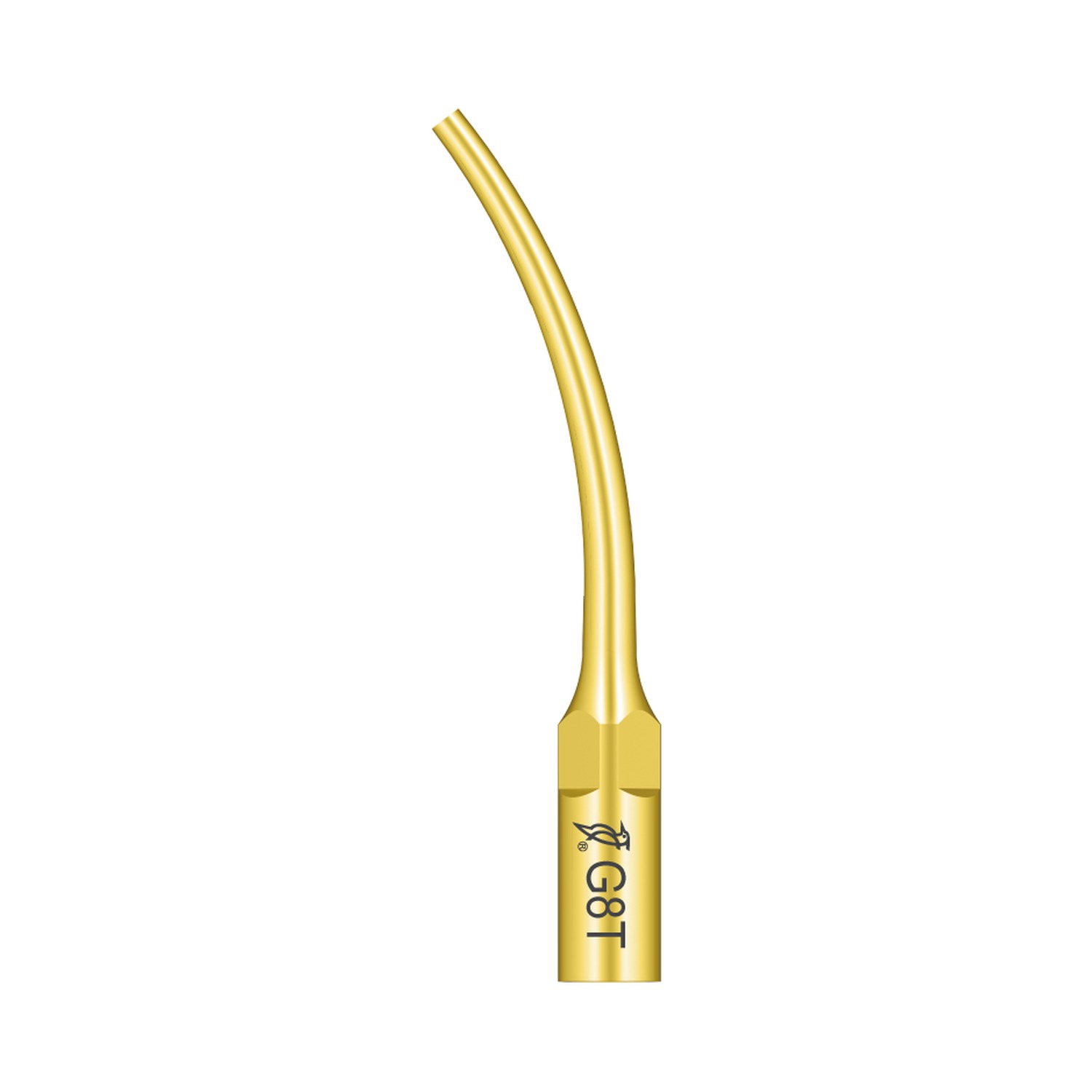 Woodpecker Ultraschallspitze G8T passend für den Einsatz mit EMS®