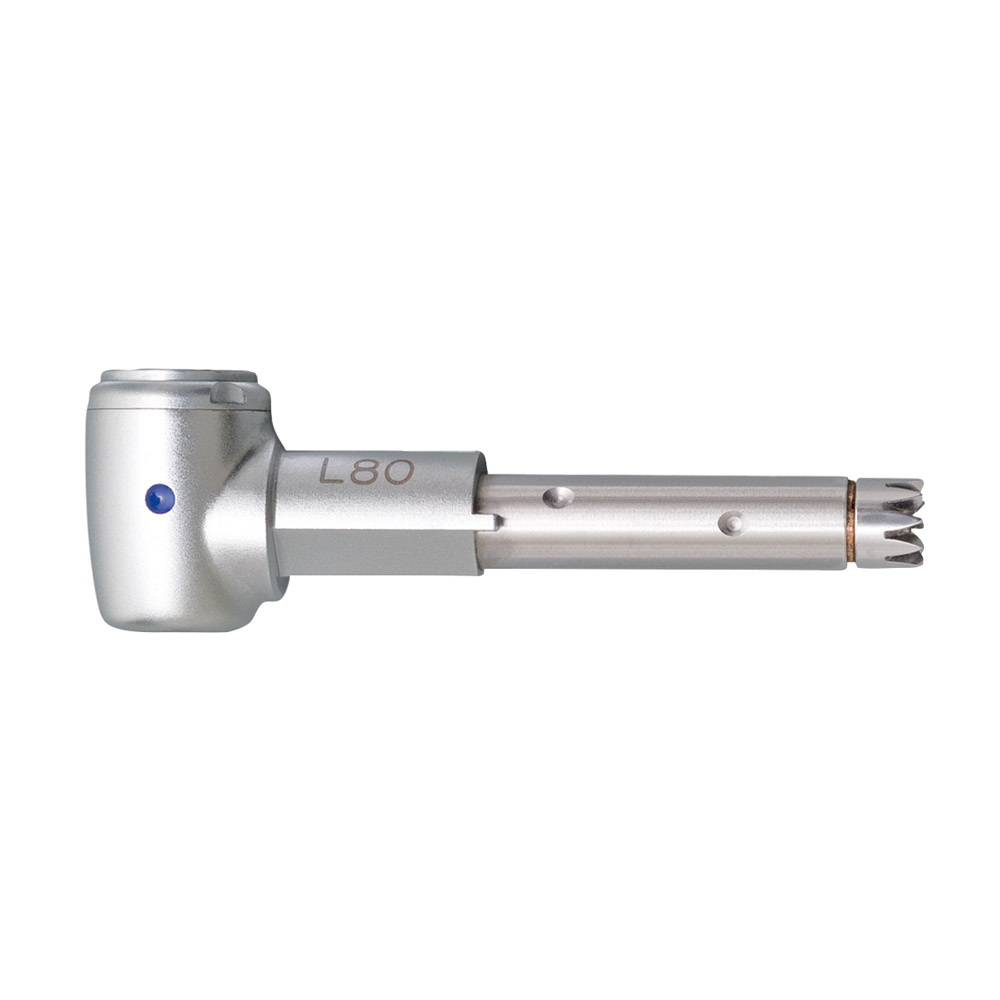 INTRA Kopf L80 1:1 Rest. St