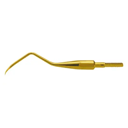 American Eagle Instruments Inc. AE XP Quik-Tip Scaler M23B St