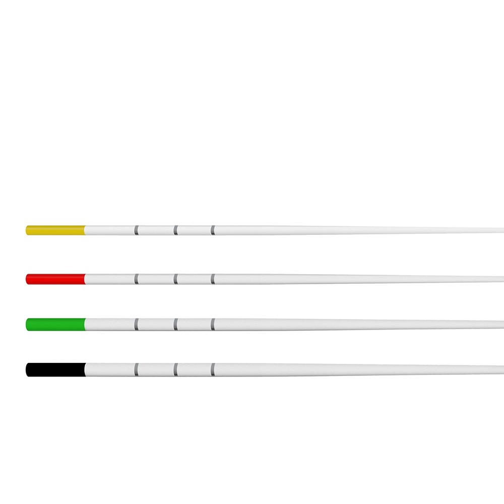 TruNatomy Absorbent Points Large Sort
