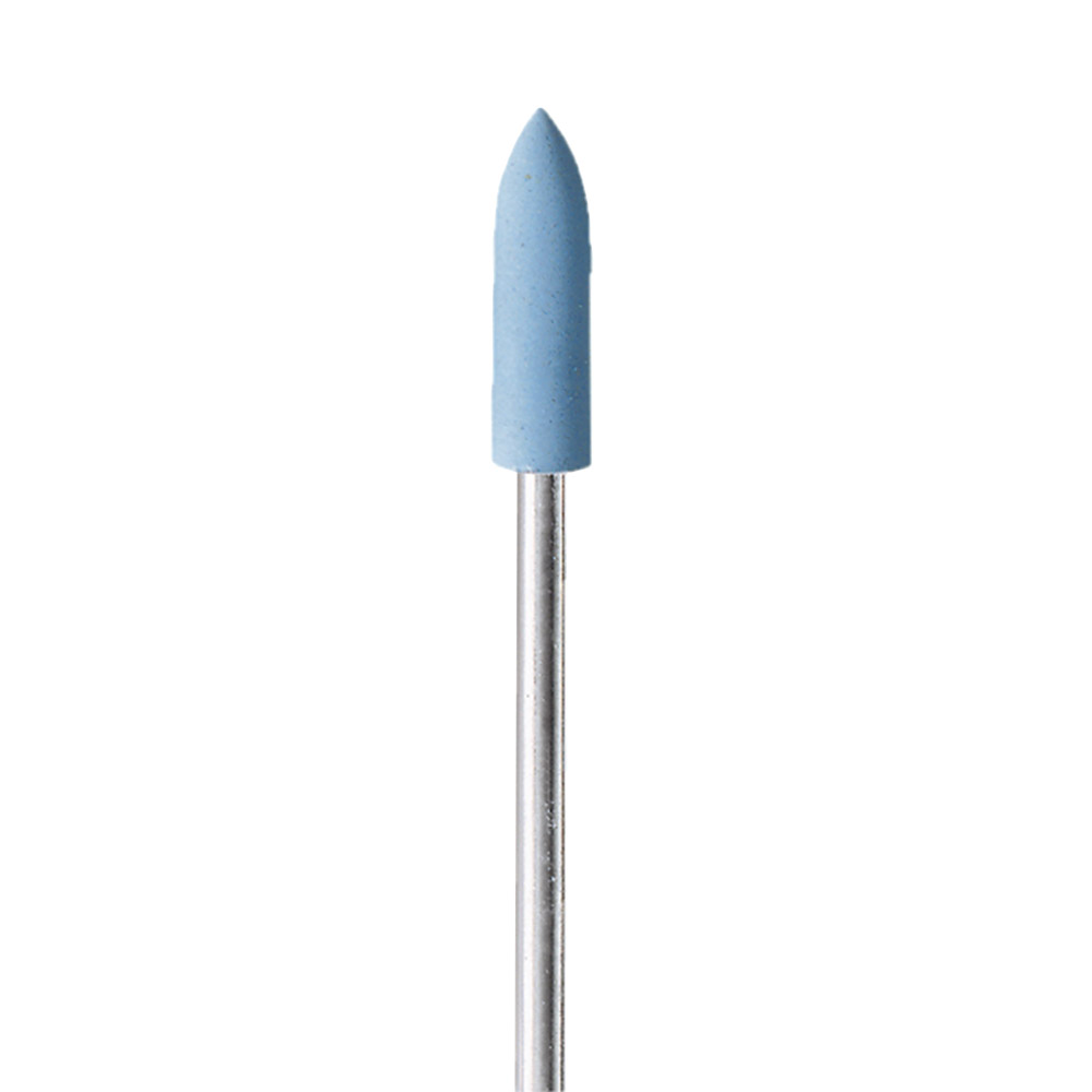 EVE Polierer H4F Hst 10St