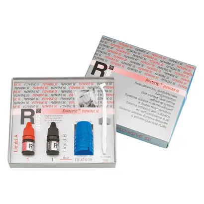 R-dental Dentalerzeugnisse GmbH FANTESTIC FLOWSIVE SE Pa 2x3ml