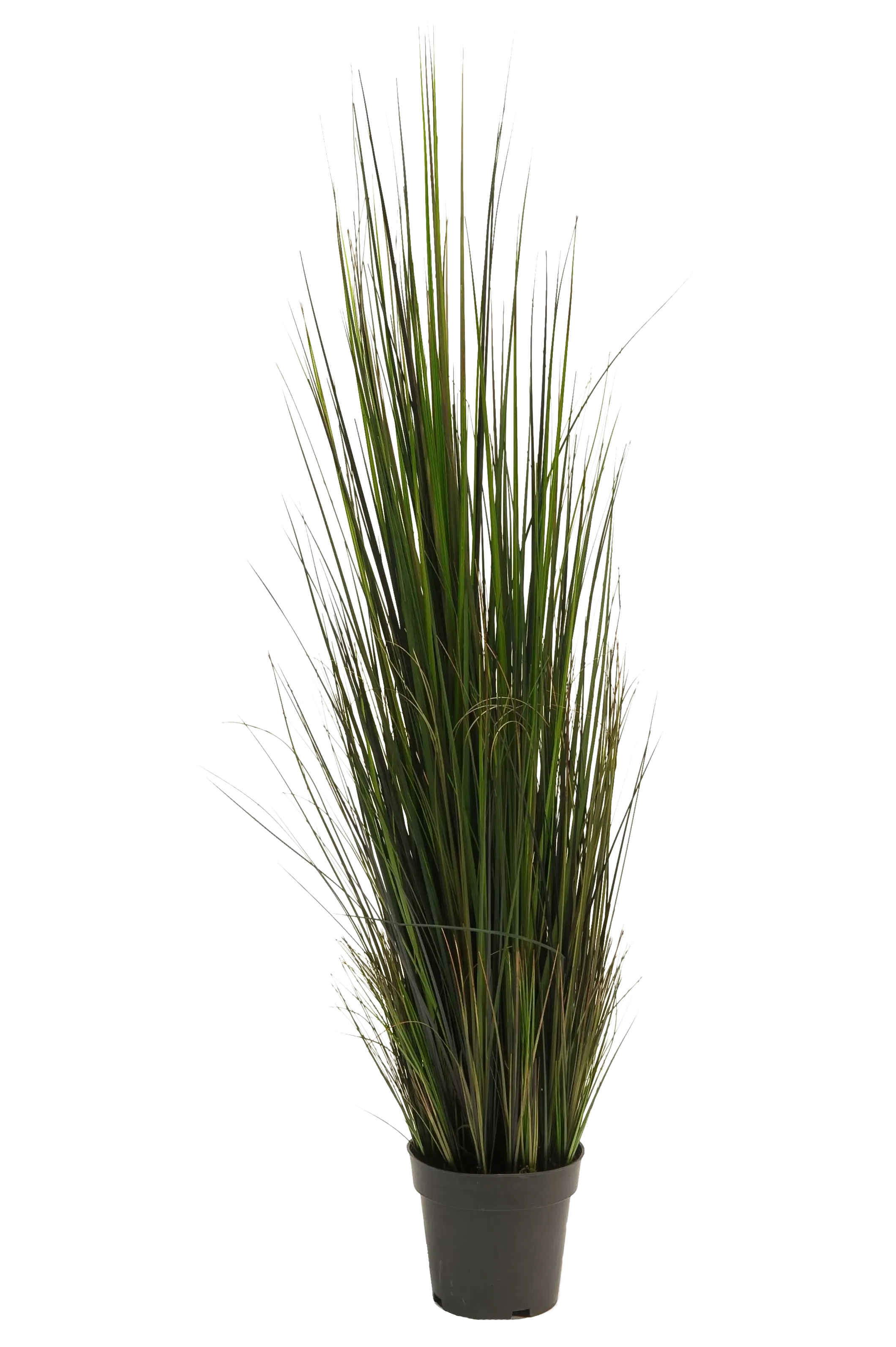 aplanta-11.593C_aplantaKuenstliches_Gras__Hanno__120_cm Künstliches Gras - Hanno | 120 cm