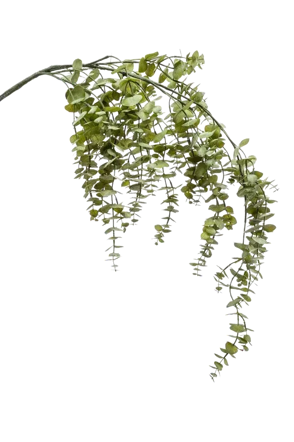 Künstliche hängender Eucalyptus Zweig - Guido | 120 cm