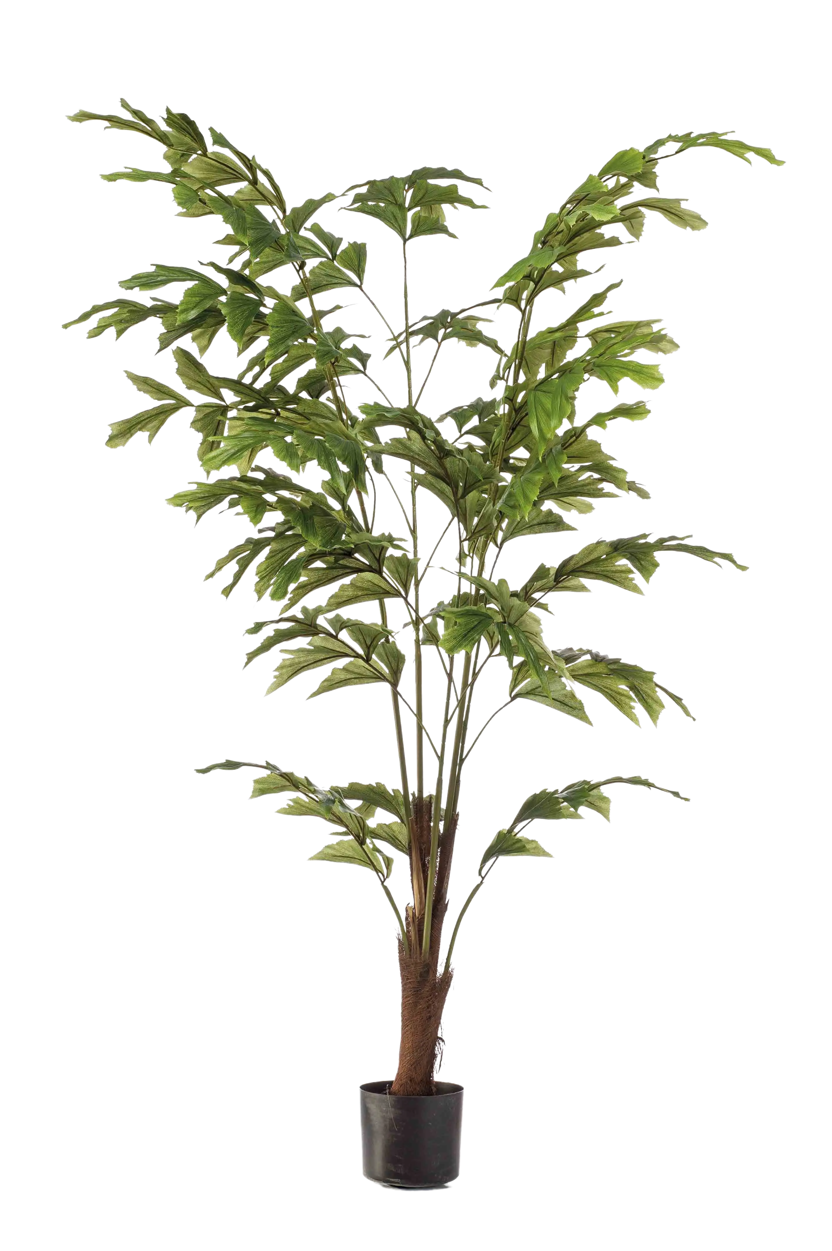 428521_Kuenstliche_Fischschwanzpalme__Nayla__155_cm