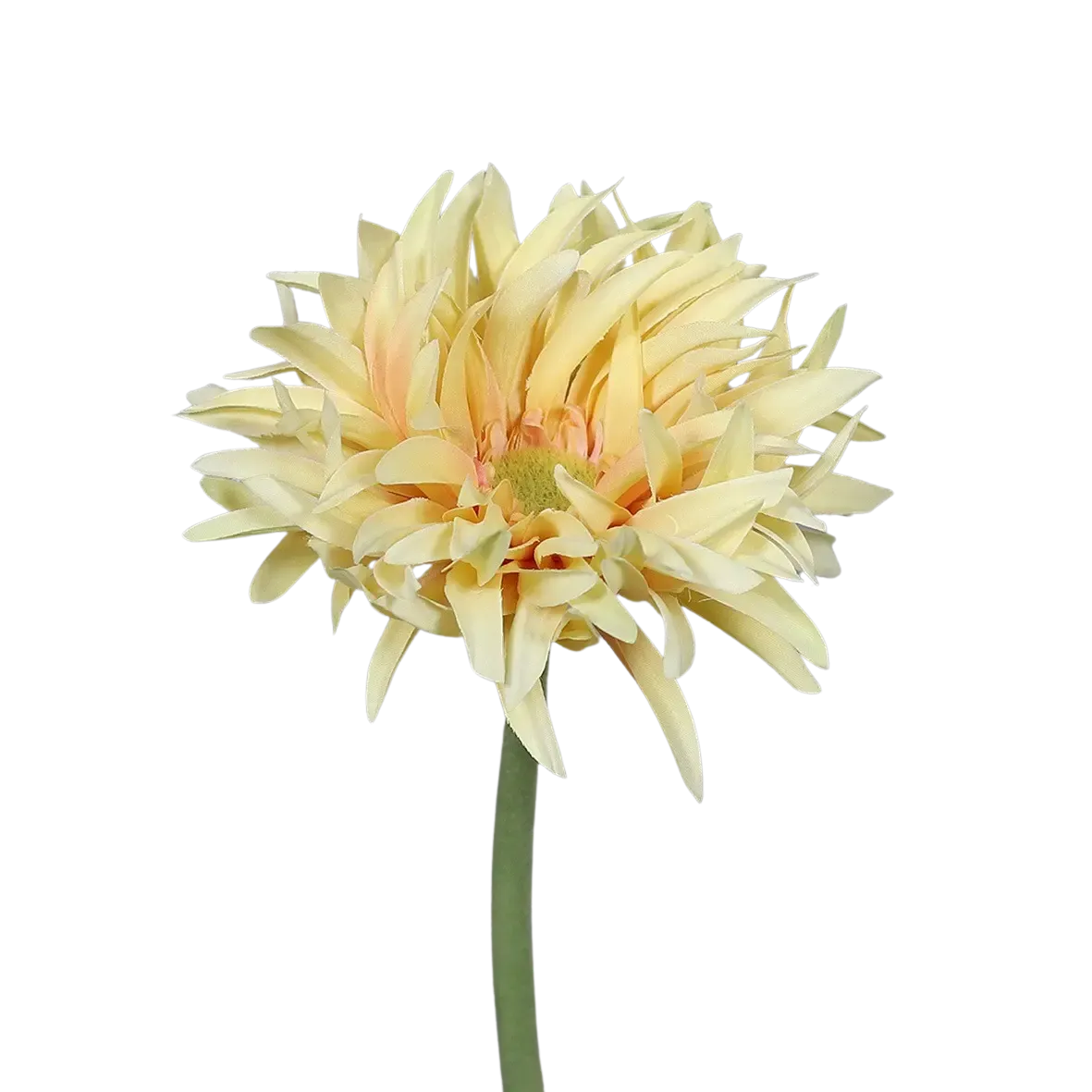 Künstliche Gerbera gefranzt - Adam | 57 cm