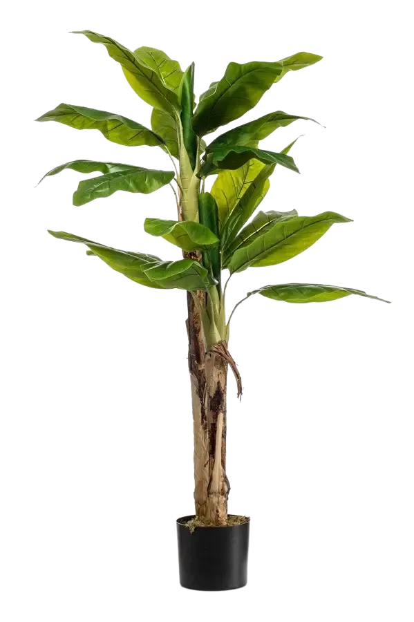 aplanta-425513_aplantaKuenstlicher_Bananenbaum__Can__140_cm Künstlicher Bananenbaum - Can | 140 cm