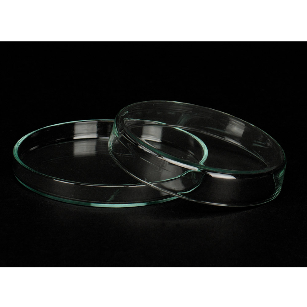 Petri Schale m.Deckel 8x1,5cm St