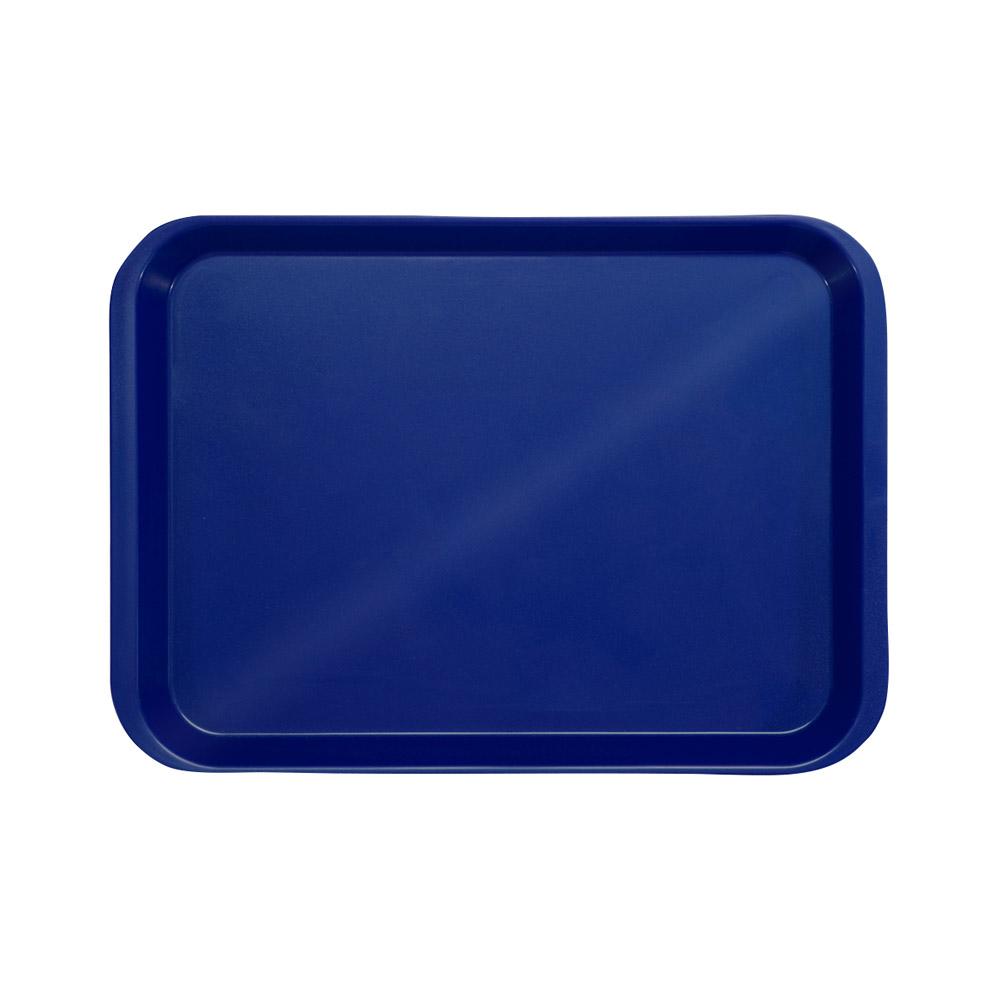 Behandlungstray o. Eint. dblau St