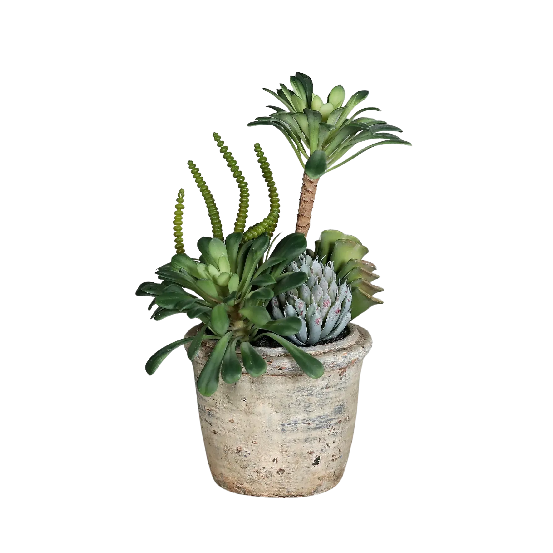Künstliches Sukkulenten Arrangement - Goku | 23 cm, im Keramiktopf