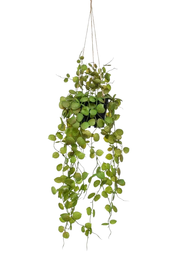 Künstliche Hänge-Leuchterblume - Konrad | 50 cm