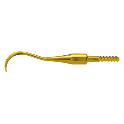 American Eagle Instruments Inc. AE XP Quik-Tip Scaler H6 univ. Ant. St
