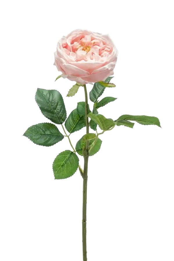 Künstliche Rose - Samantha | 58 cm
