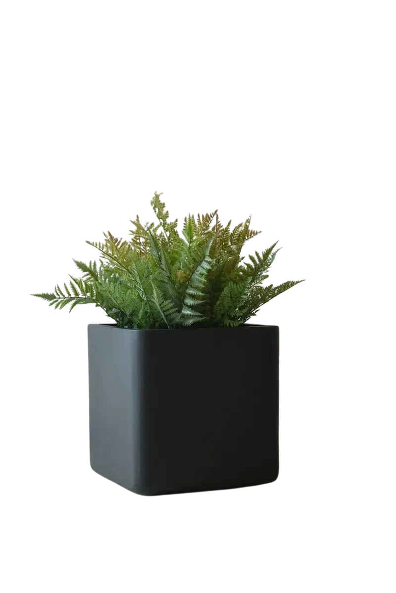 aplanta-101091034040_aplantaPflanzkuebel__Edin__40x40x40_cm_Schwarz Pflanzkübel - Edin | 40x40x40 cm, Schwarz