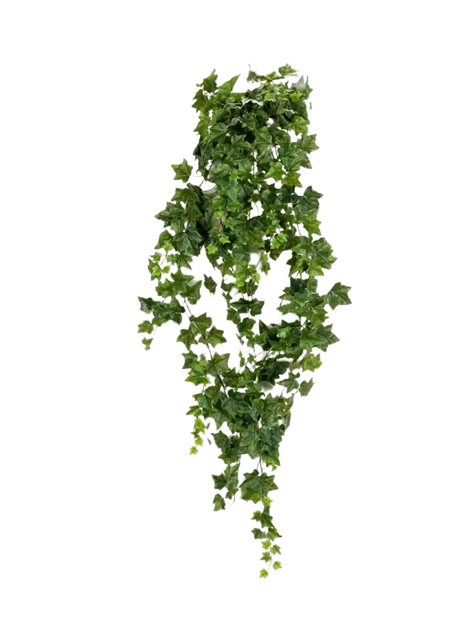 Künstlicher Hänge-Efeu - Lennart | 180 cm