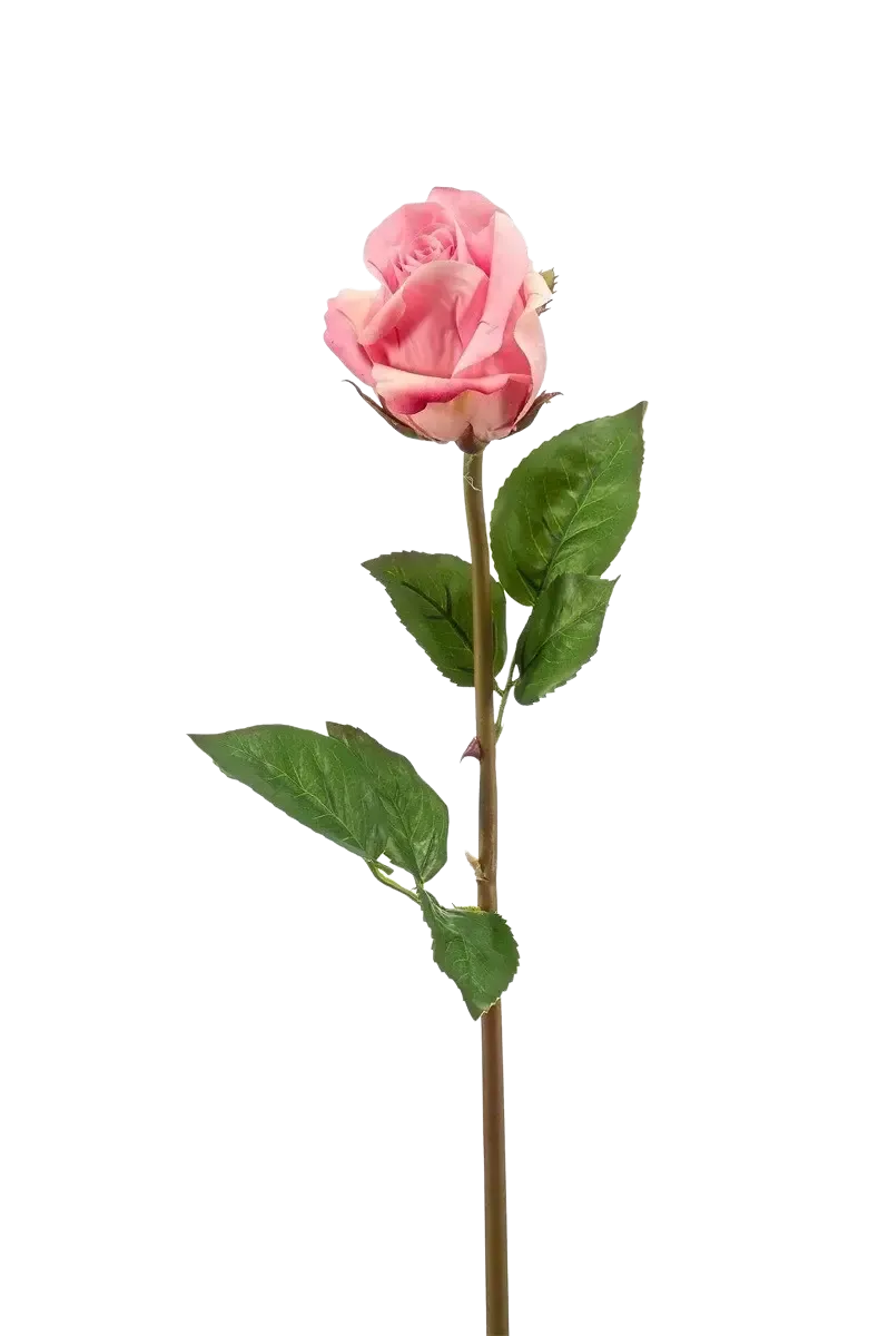 Künstliche Rose - Astoria | 58 cm