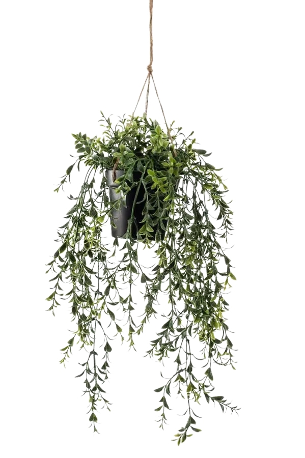 Künstlicher Hänge-Buchsbaum - Kevin | 50 cm