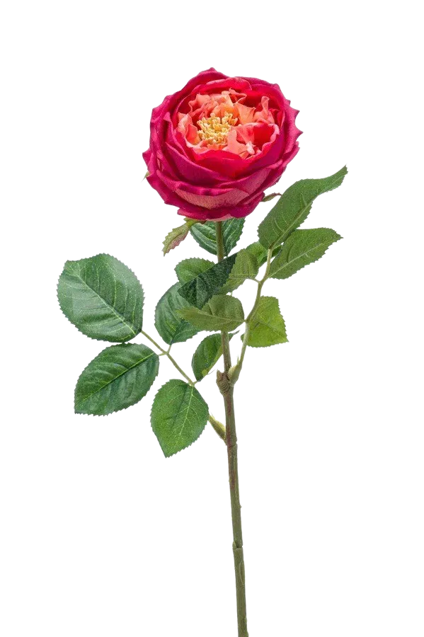 Künstliche Rose - Estefania | 60 cm