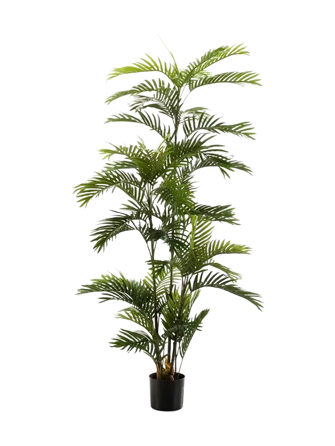 417382_Kuenstliche_Phoenix_Palme__Kira__180_cm Künstliche Phoenix Palme - Kira | 180 cm