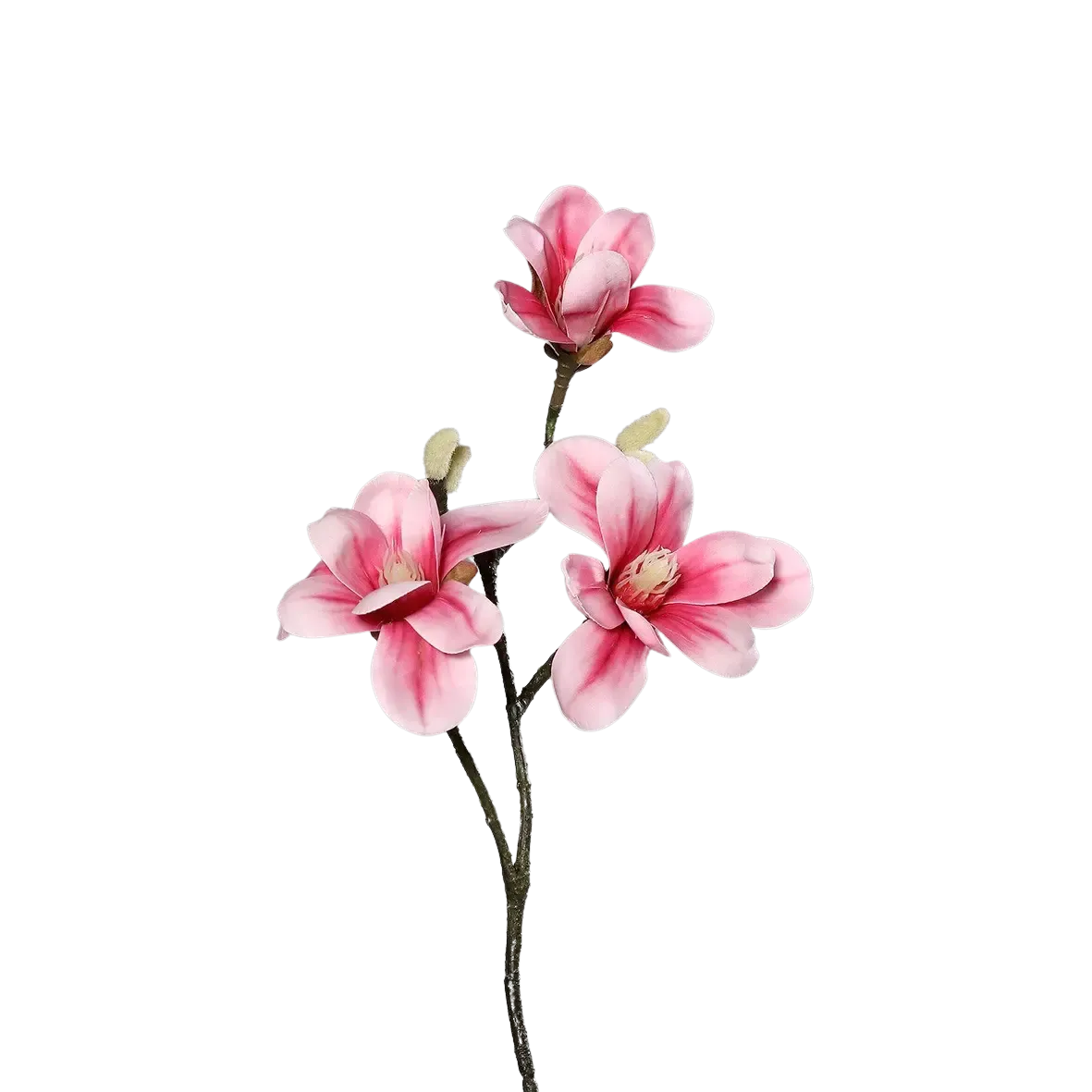 Künstliche Magnolien - Herta | 40 cm