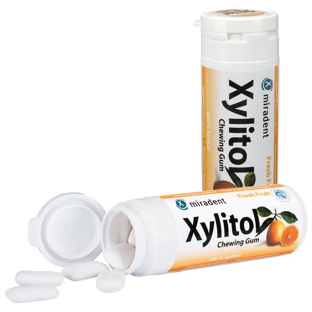 Hager & Werken Xylitol Chewing Gum - Dose 30 Stück Frucht
