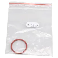 EMS SA Dichtung f. Pulverkammerdeckel f. AIR-FLOW Prophyl.Master St