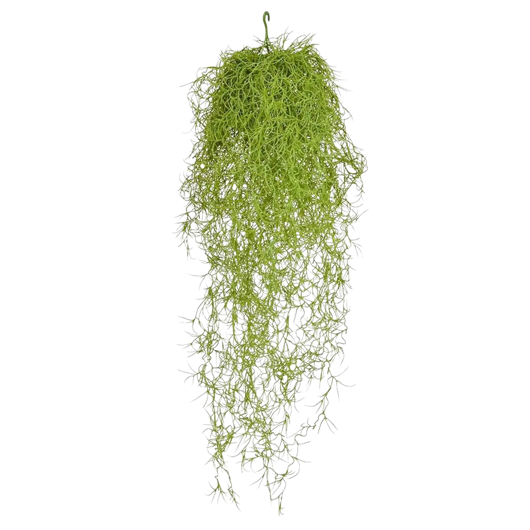 aplanta-TL2527_aplantaKuenstliche_Tillandsia__Erwin__75_cm Künstliche Tillandsia - Erwin | 75 cm