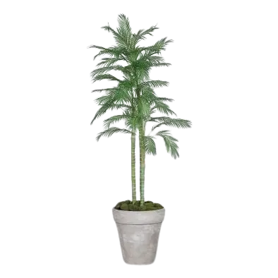 Künstliche Chico Palme - Richi | 210 cm
