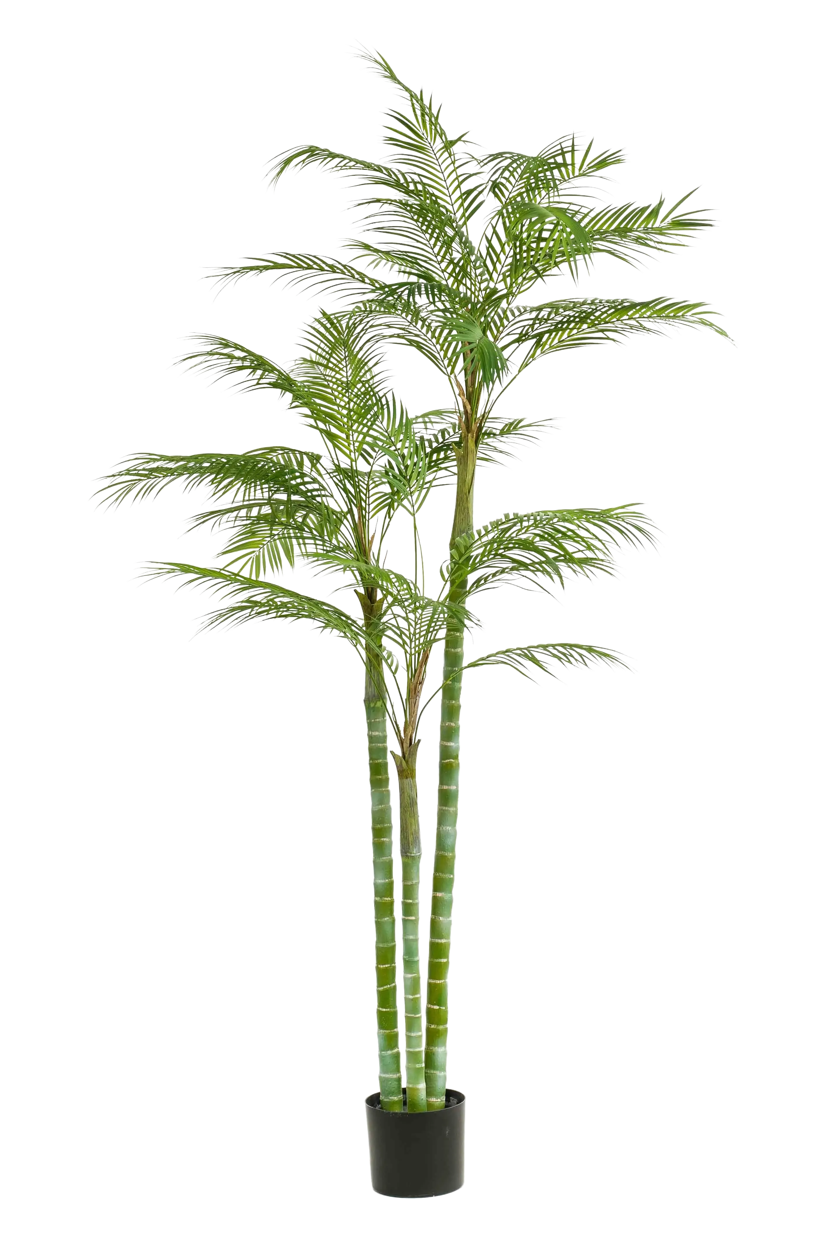 Künstliche Areca Palme - Paolo | 195 cm