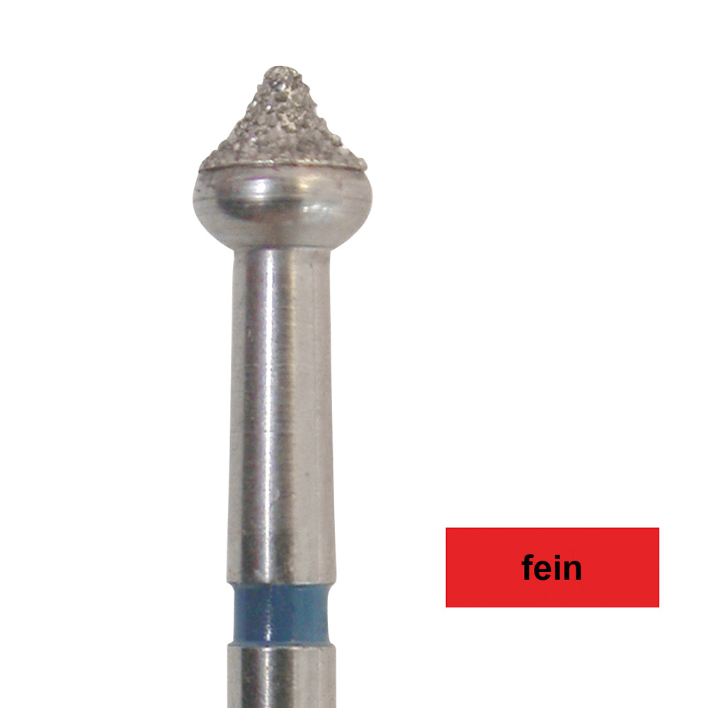 Diamant FG 829 F 027 5St