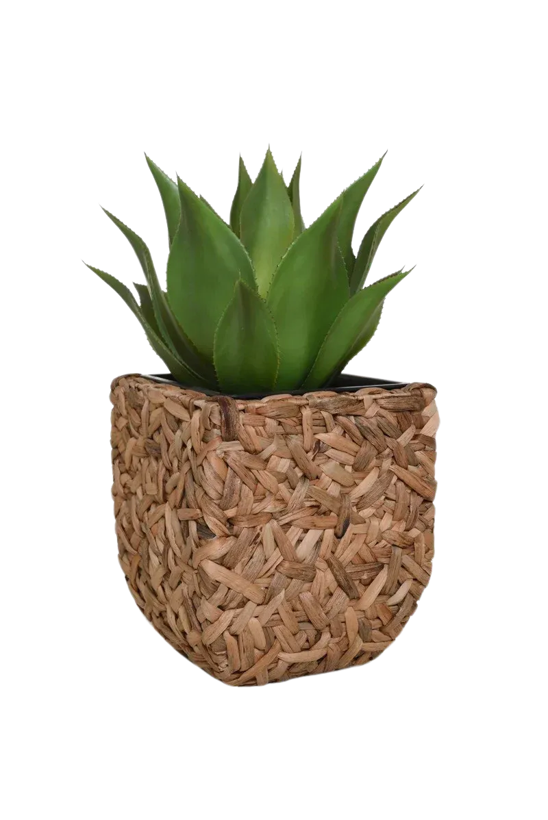 aplanta-17292101037_aplantaPflanzkuebel__Amar__35x35x40_cm_Natur Pflanzkübel - Amar | 35x35x40 cm, Natur