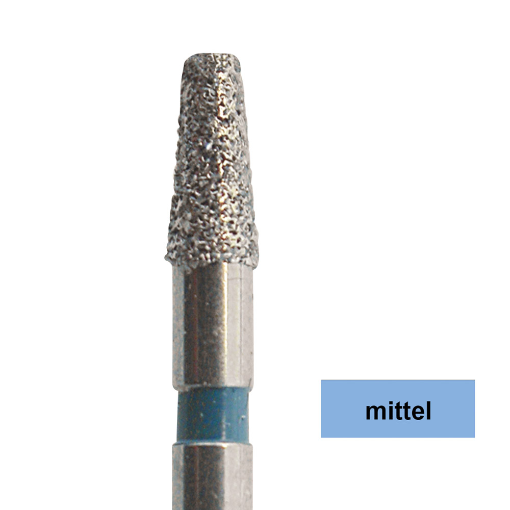 Diamant FG 845 R 025 5St