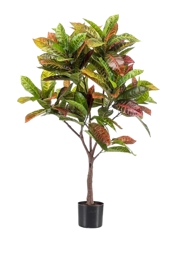 Künstlicher Croton - Julie | 120 cm