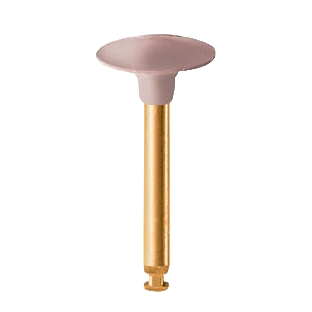 EVE Diacomp Plus DCP2m Wst St