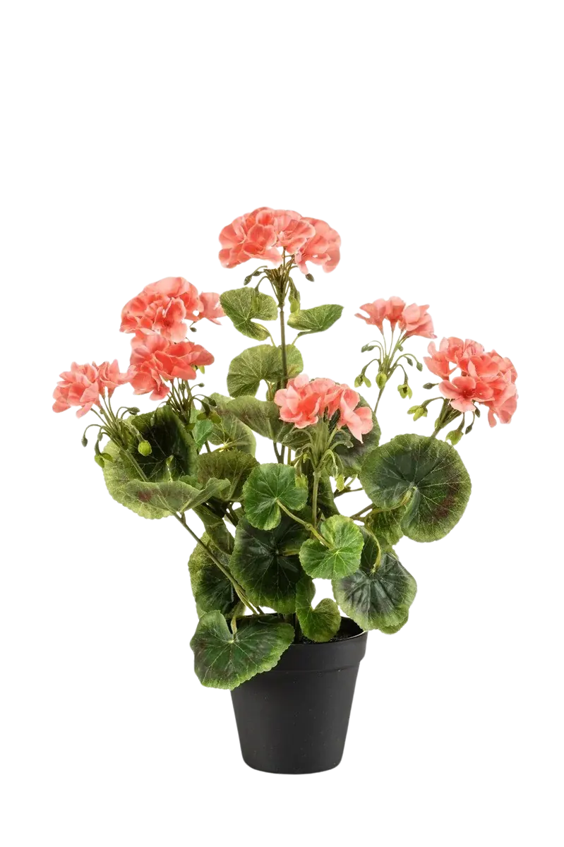 Künstliche Geranie - Zidon | 38 cm | UV-beständig