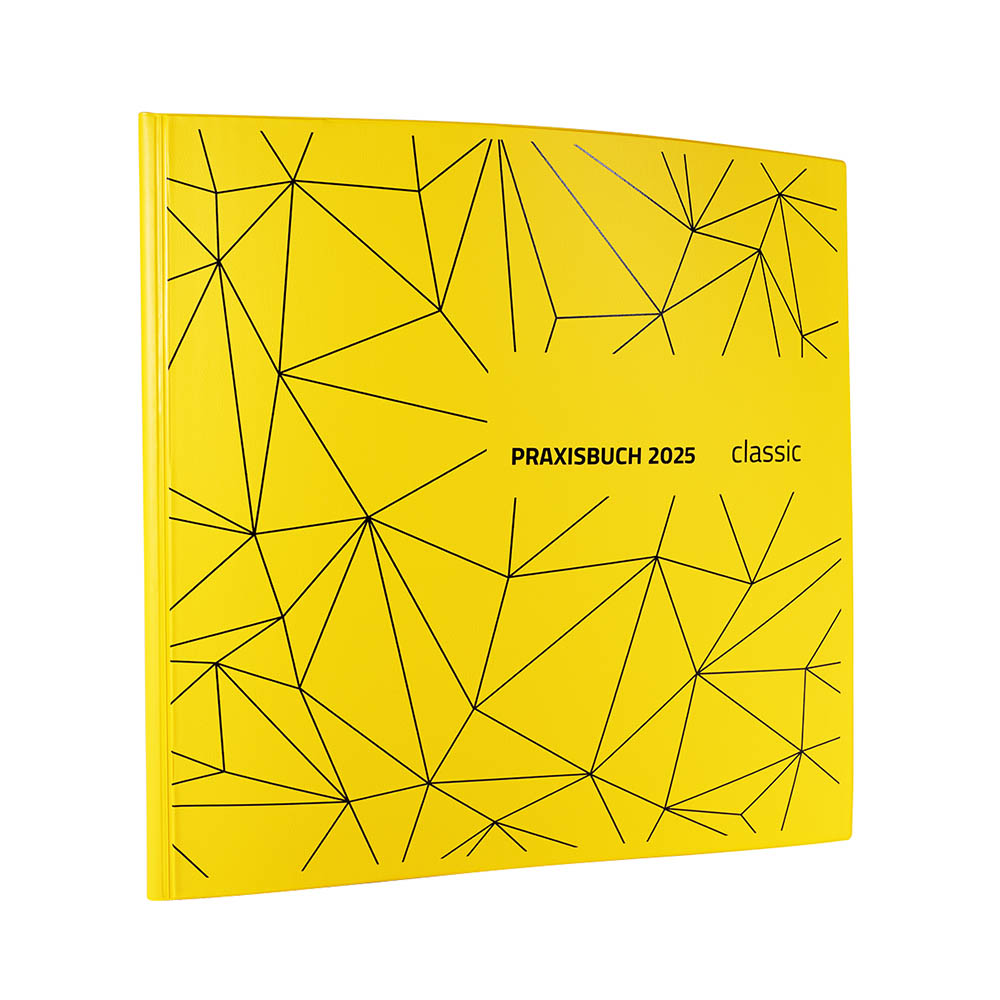 Praxisbuch Speiko Classic 2025 St