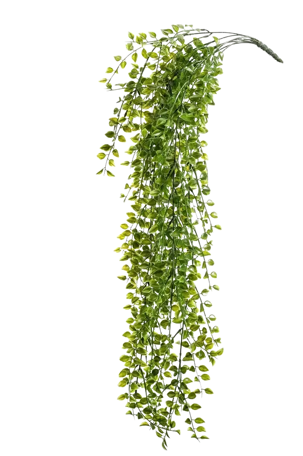 Künstlicher Hänge Kletterficus - Keno | 80 cm
