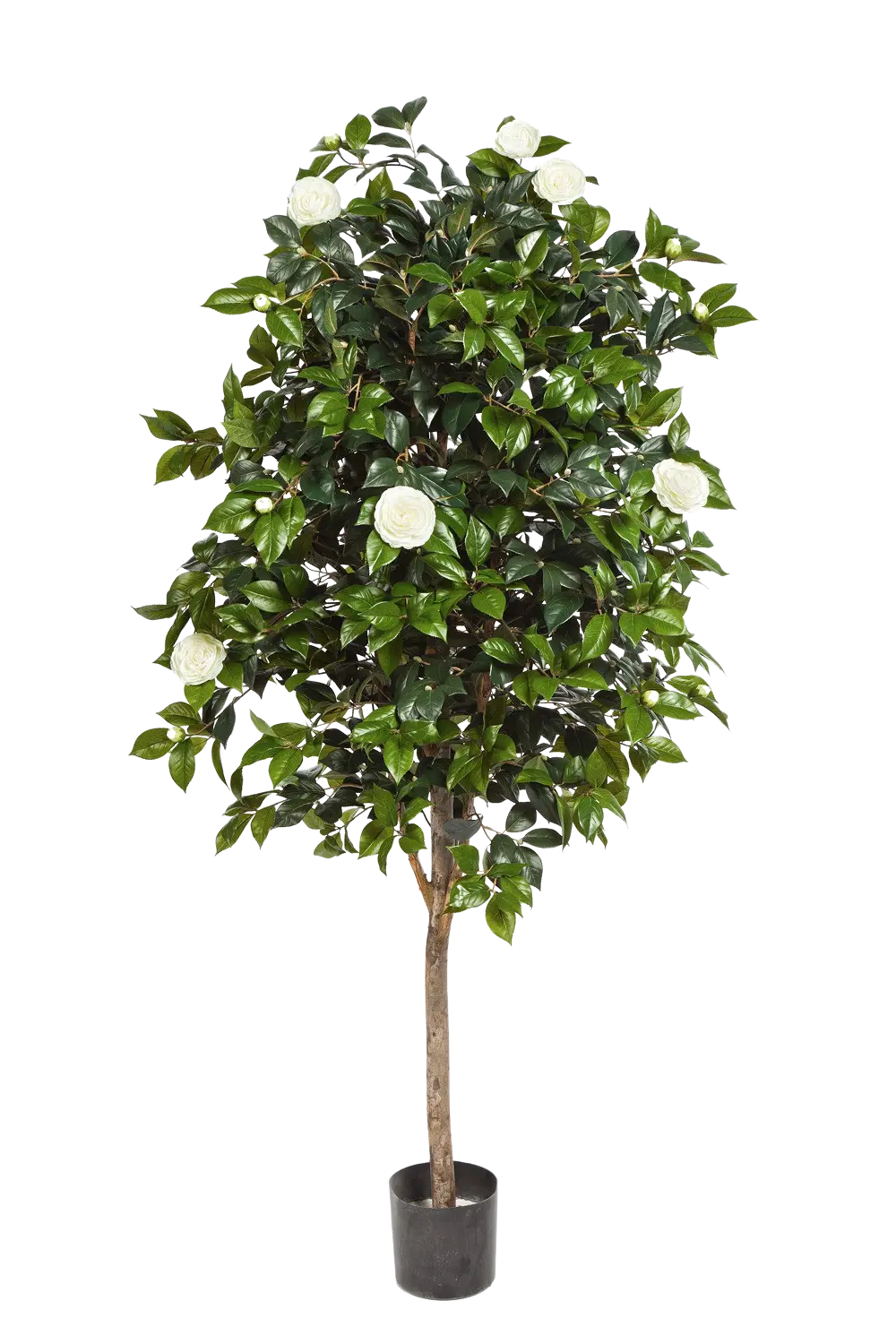 39106NW_Kuenstlicher_Kamelienbaum__Polly__170_cm