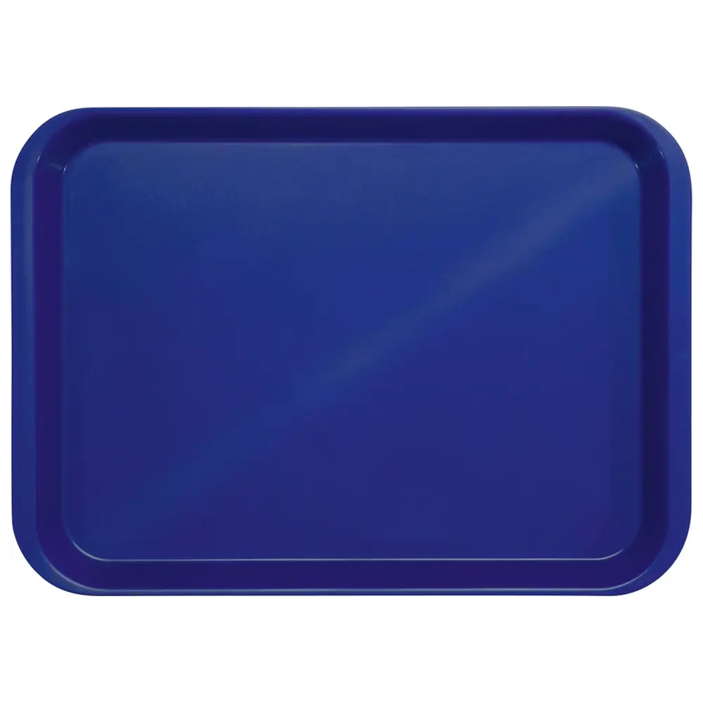 Medicom B-Lok Tray - Stück Tray 34 x 24,5 x 2,2 cm, ohne Einteilung dunkelblau