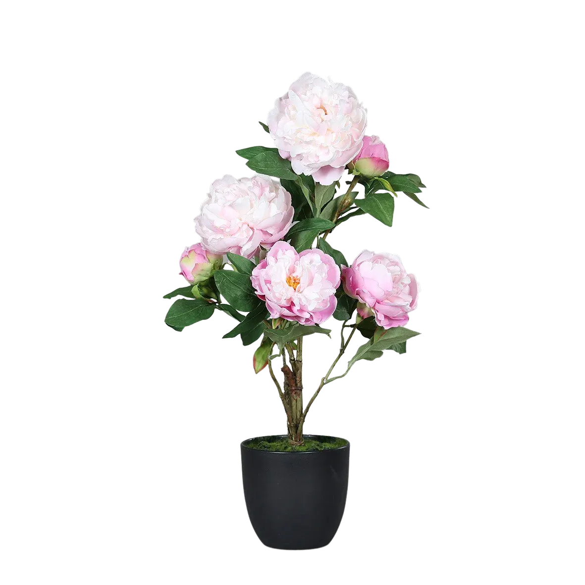 Künstliche Pfingstrose - Andrea | 57 cm